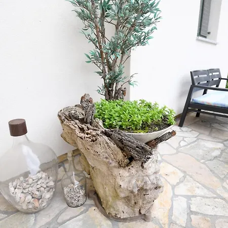 Rose アパート ザダル