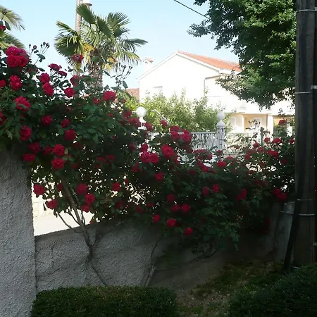 Apartman Rose Zára