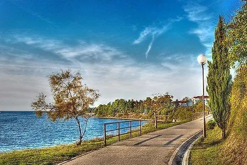 公寓 Rose 扎达尔