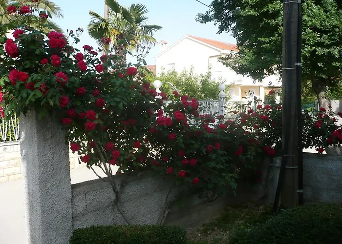 公寓 Rose 扎达尔